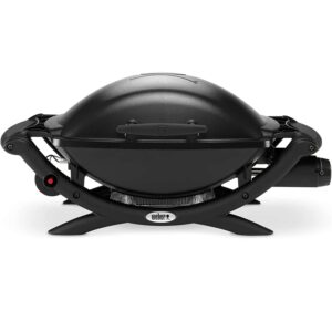 weber q 2000