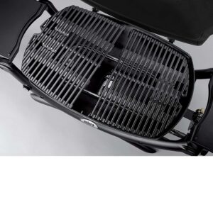 weber q 2000 2