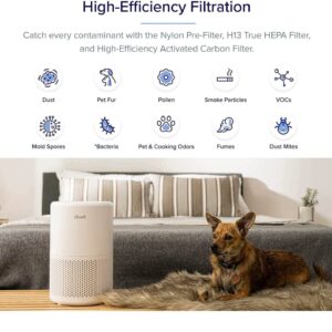gaisa attīrītājs levoit core 200s h13 hepa filtrs 170 m³/h cadr, līdz 35 m²