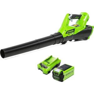 greenworks g40ab akumulatora lapu pūtējs (40 v 177 km/h, brushless) 1 x 2ah, lādētājs