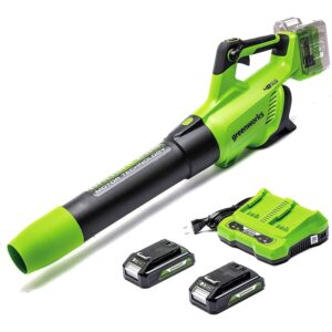 greenworks gd24x2abk2x akumulatora lapu pūtējs brushless, turbo, 217 km/h, 16.4 m³/min, 2 x 24v 2ah (48v kopā), lādētājs