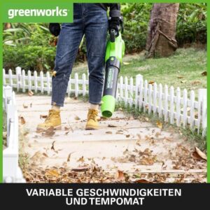 greenworks gd24x2abk2x akumulatora lapu pūtējs brushless, turbo, 217 km/h, 16.4 m³/min, 2 x 24v 2ah (48v kopā), lādētājs