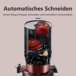 lēnā sulu spiede hurom h320n 200w 2 l