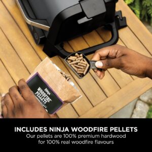 elektriskais grils, kūpinātava, friteris ninja woodfire og701eu